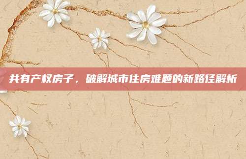 共有产权房子，破解城市住房难题的新路径解析