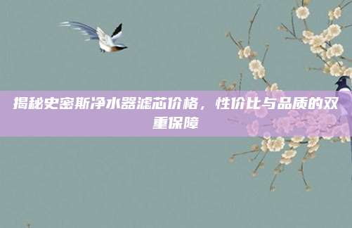 揭秘史密斯净水器滤芯价格，性价比与品质的双重保障
