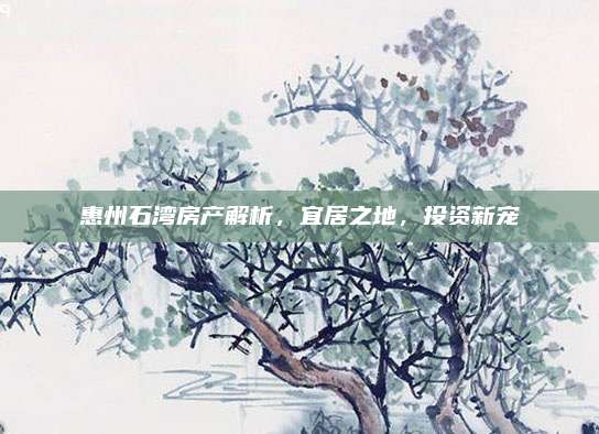 惠州石湾房产解析，宜居之地，投资新宠