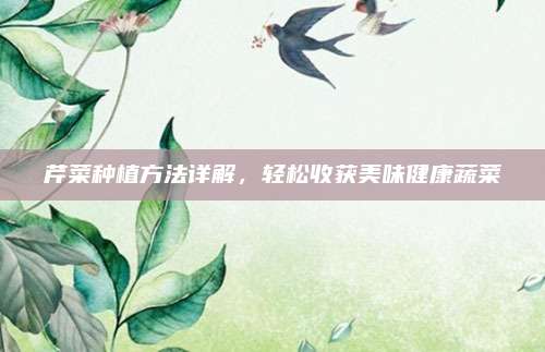 芹菜种植方法详解，轻松收获美味健康蔬菜