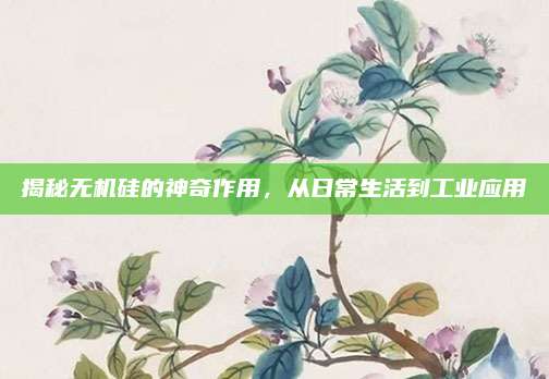 揭秘无机硅的神奇作用，从日常生活到工业应用