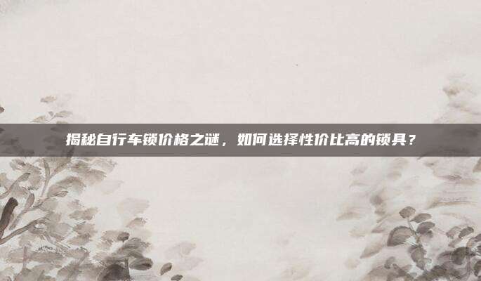 揭秘自行车锁价格之谜，如何选择性价比高的锁具？