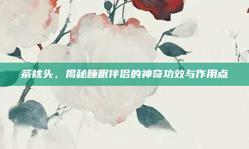 茶枕头，揭秘睡眠伴侣的神奇功效与作用点