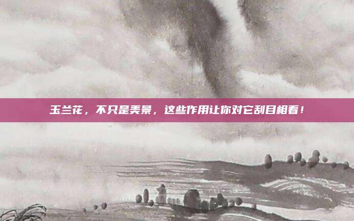 玉兰花，不只是美景，这些作用让你对它刮目相看！