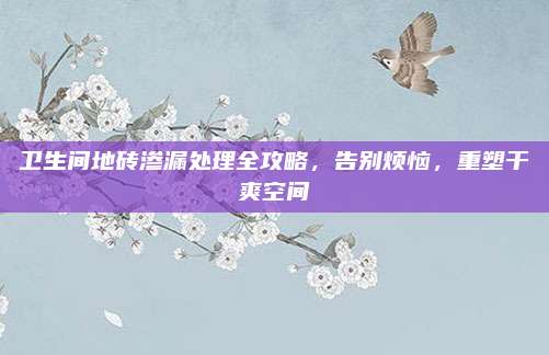 卫生间地砖渗漏处理全攻略，告别烦恼，重塑干爽空间