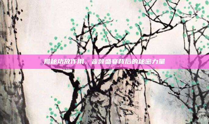 揭秘功放作用，音频盛宴背后的秘密力量
