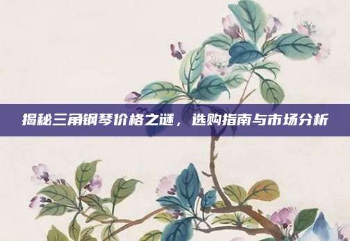 揭秘三角钢琴价格之谜，选购指南与市场分析