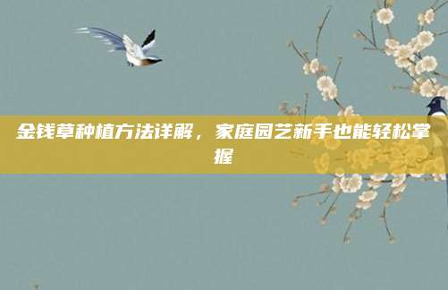 金钱草种植方法详解，家庭园艺新手也能轻松掌握