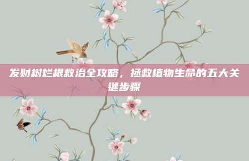 发财树烂根救治全攻略，拯救植物生命的五大关键步骤