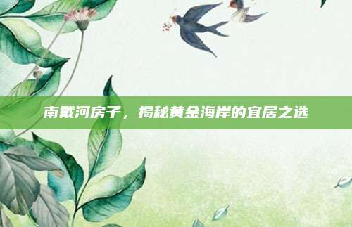 南戴河房子，揭秘黄金海岸的宜居之选