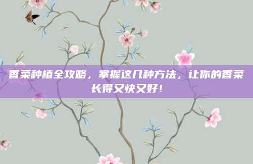 香菜种植全攻略，掌握这几种方法，让你的香菜长得又快又好！