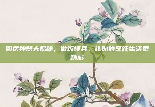 厨房神器大揭秘，做饭模具，让你的烹饪生活更精彩