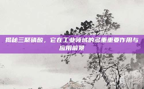揭秘三聚磷酸，它在工业领域的多重重要作用与应用前景