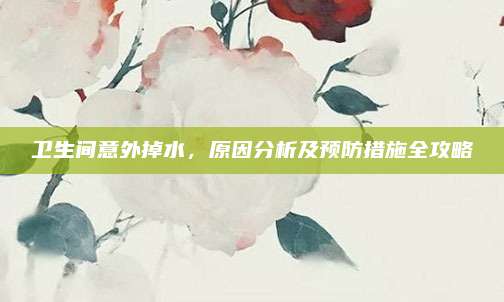 卫生间意外掉水，原因分析及预防措施全攻略