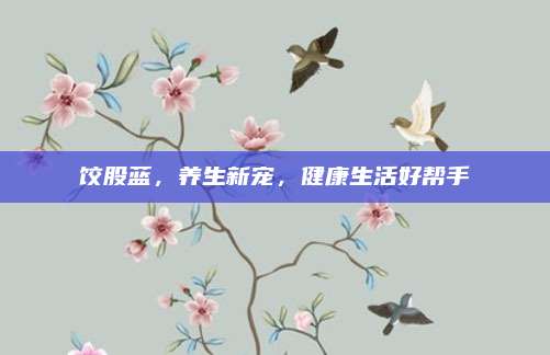 饺股蓝，养生新宠，健康生活好帮手