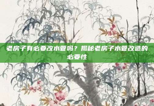 老房子有必要改水管吗？揭秘老房子水管改造的必要性