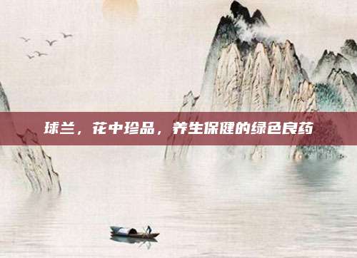 球兰，花中珍品，养生保健的绿色良药