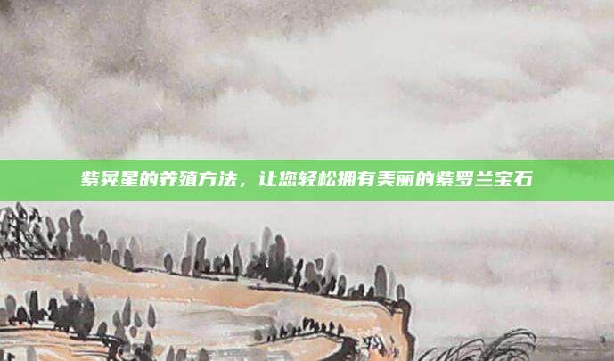 紫晃星的养殖方法，让您轻松拥有美丽的紫罗兰宝石