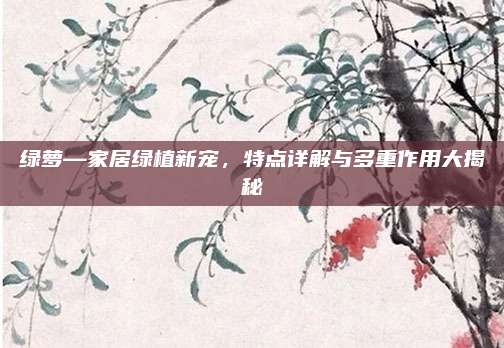 绿萝—家居绿植新宠，特点详解与多重作用大揭秘