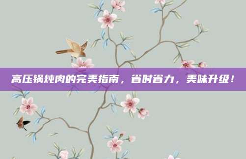 高压锅炖肉的完美指南，省时省力，美味升级！