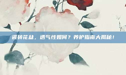 瓷砖花盆，透气性如何？养护指南大揭秘！