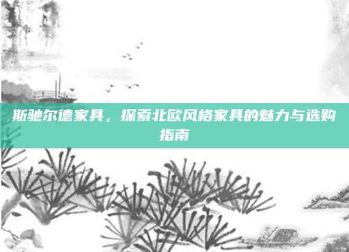 斯驰尔德家具，探索北欧风格家具的魅力与选购指南