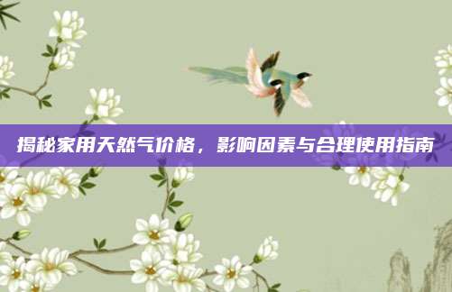 揭秘家用天然气价格，影响因素与合理使用指南