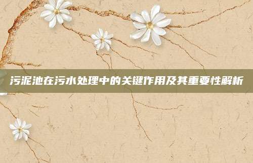 污泥池在污水处理中的关键作用及其重要性解析