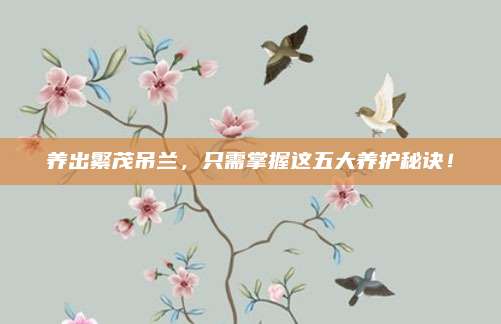 养出繁茂吊兰，只需掌握这五大养护秘诀！