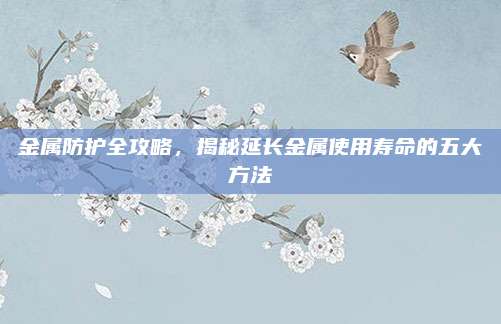 金属防护全攻略，揭秘延长金属使用寿命的五大方法
