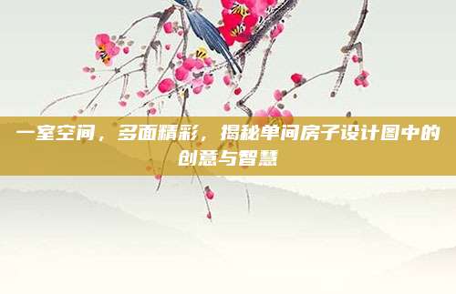 一室空间，多面精彩，揭秘单间房子设计图中的创意与智慧