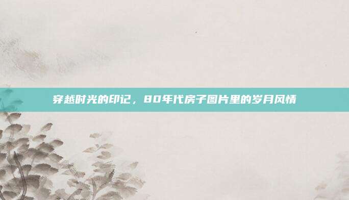 穿越时光的印记，80年代房子图片里的岁月风情