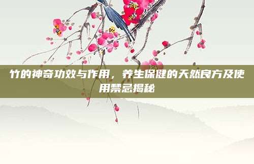 竹的神奇功效与作用，养生保健的天然良方及使用禁忌揭秘
