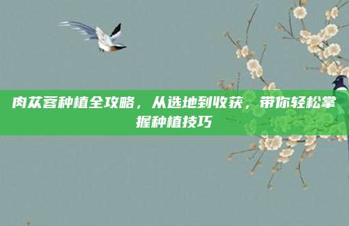 肉苁蓉种植全攻略，从选地到收获，带你轻松掌握种植技巧