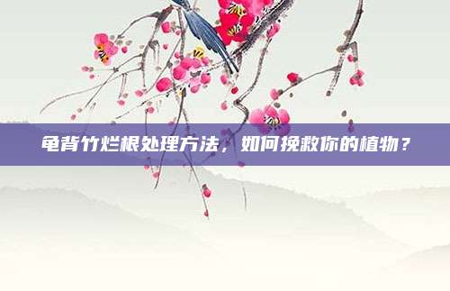 龟背竹烂根处理方法，如何挽救你的植物？