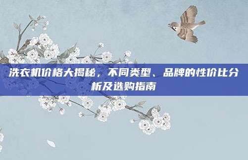 洗衣机价格大揭秘，不同类型、品牌的性价比分析及选购指南