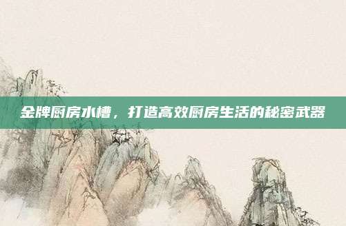 金牌厨房水槽，打造高效厨房生活的秘密武器