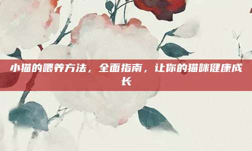 小猫的喂养方法，全面指南，让你的猫咪健康成长