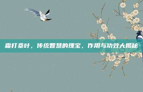 霜打桑叶，传统智慧的瑰宝，作用与功效大揭秘