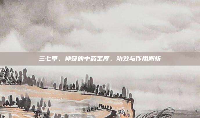 三七草，神奇的中药宝库，功效与作用解析