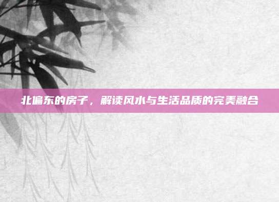 北偏东的房子，解读风水与生活品质的完美融合