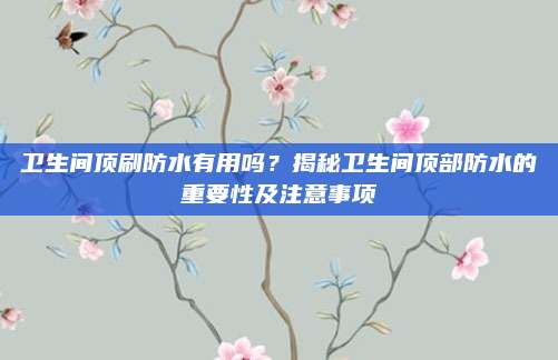 卫生间顶刷防水有用吗？揭秘卫生间顶部防水的重要性及注意事项