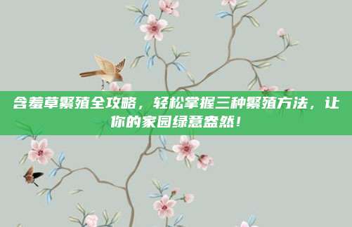 含羞草繁殖全攻略，轻松掌握三种繁殖方法，让你的家园绿意盎然！