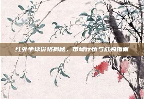 红外半球价格揭秘，市场行情与选购指南