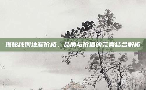 揭秘纯铜地漏价格，品质与价值的完美结合解析