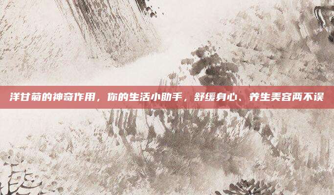 洋甘菊的神奇作用，你的生活小助手，舒缓身心、养生美容两不误