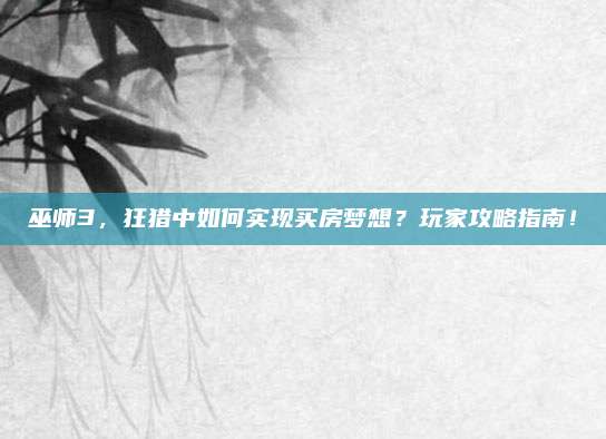 巫师3，狂猎中如何实现买房梦想？玩家攻略指南！