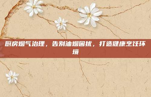 厨房烟气治理，告别油烟困扰，打造健康烹饪环境