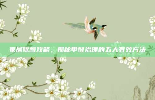 家居除醛攻略，揭秘甲醛治理的五大有效方法