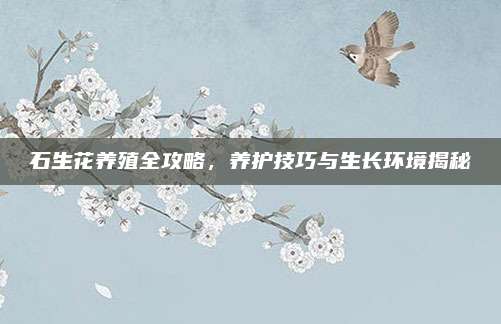 石生花养殖全攻略，养护技巧与生长环境揭秘